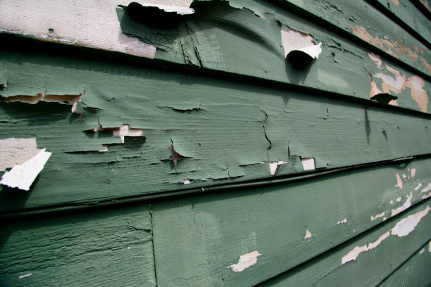 Best Hoarding Cleanup  in Walnut Ridge, AR